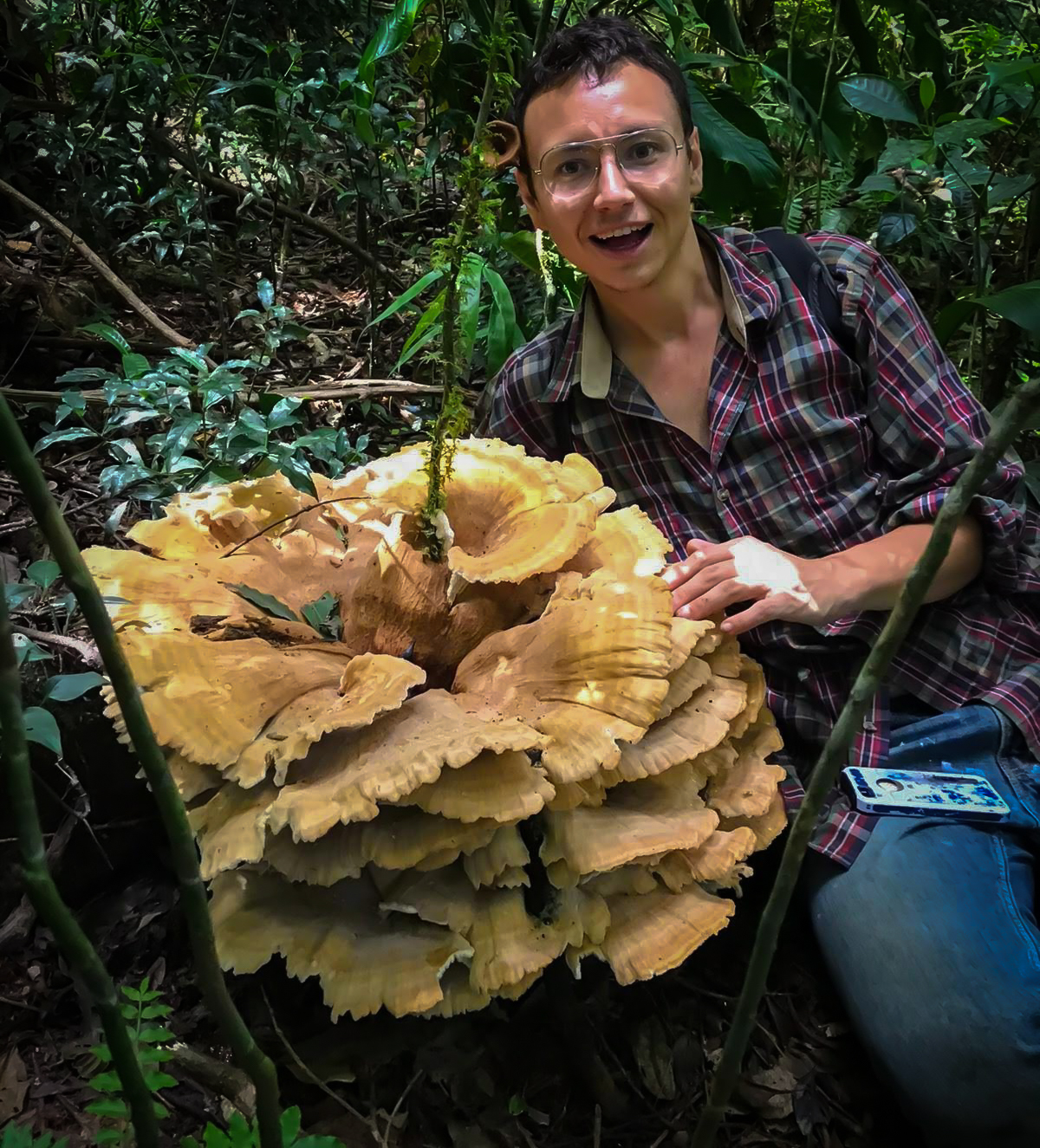 Timo Mendez Mushroom Specialist