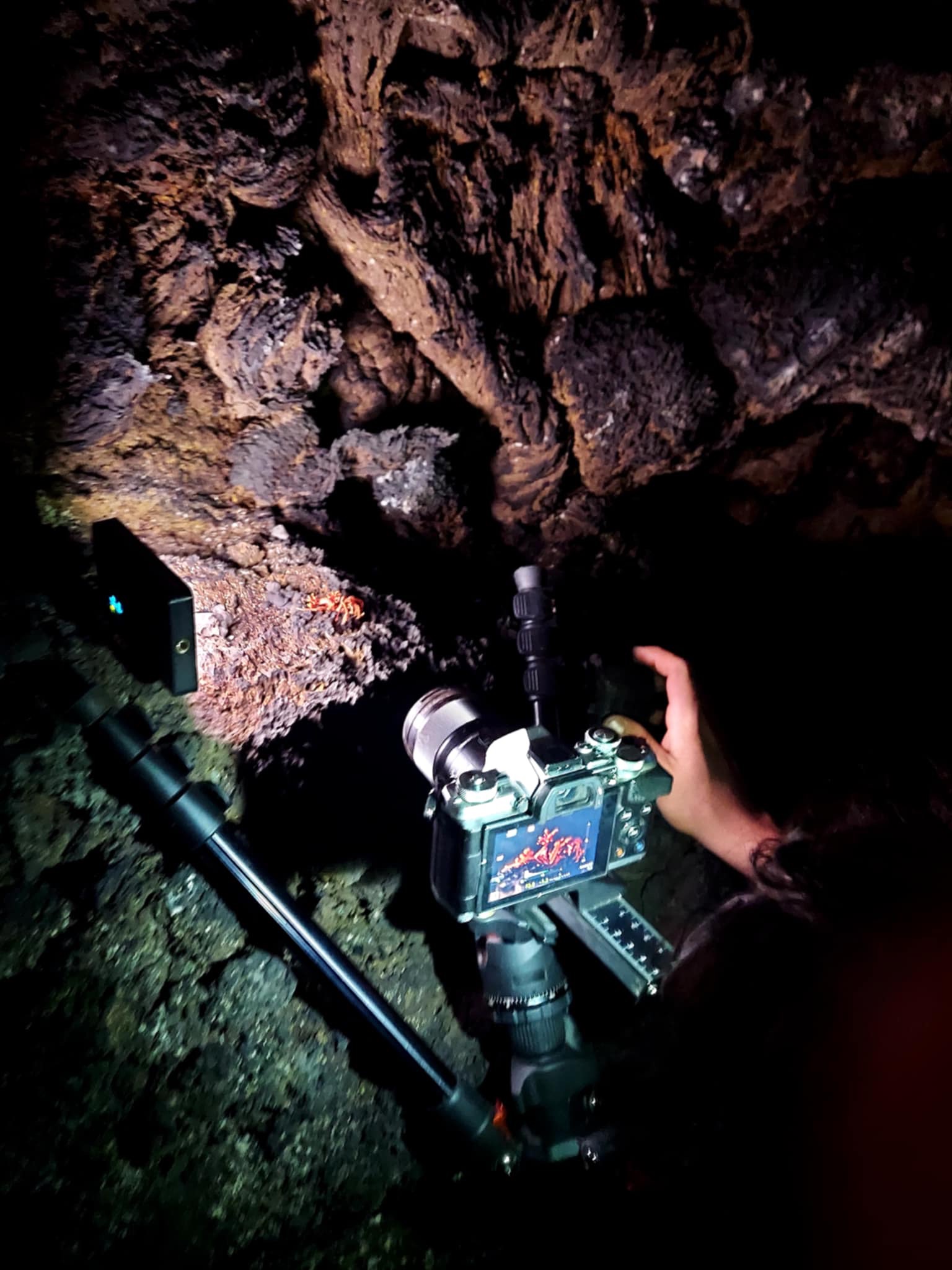 Shooting mushrooms in a cave with a tripod requires creative positioning to get the angle right